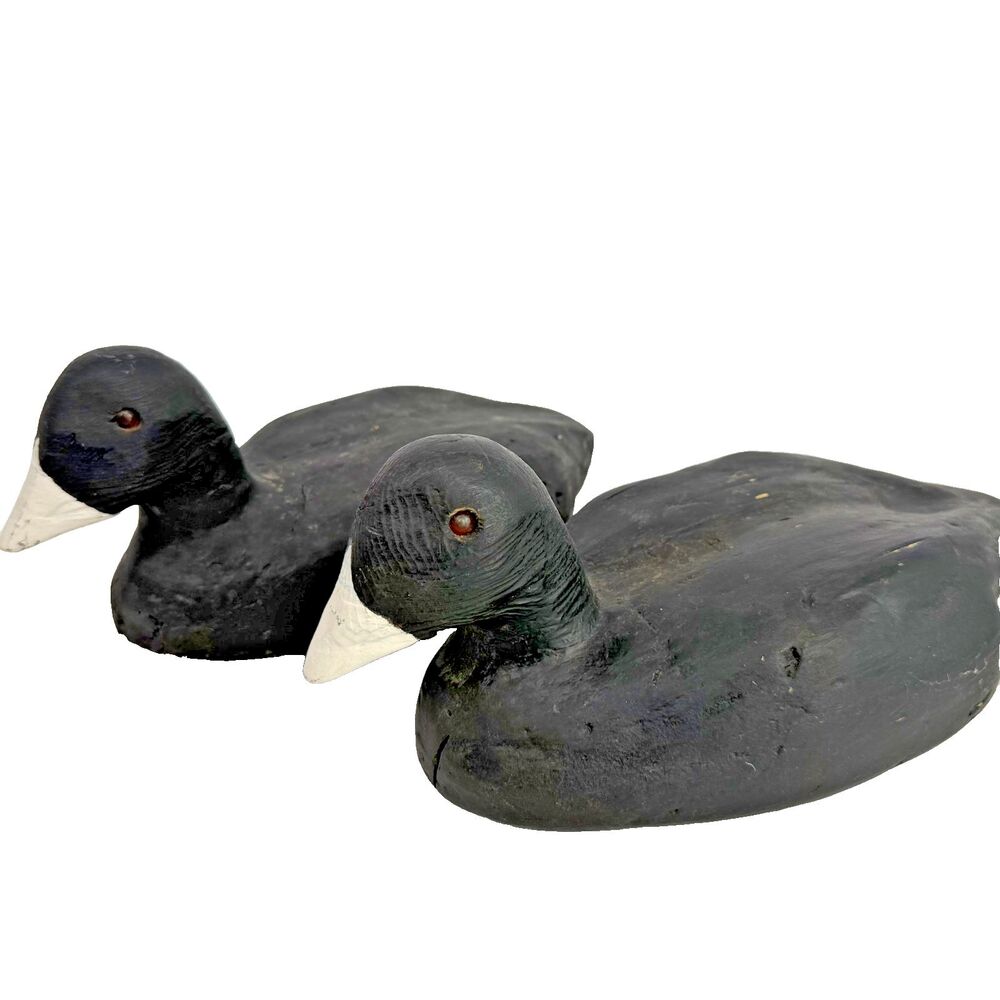 Herters Pair of Vintage Coot Waterfowl Hunting Duck Decoys 12" Balsa Wood No. 58
